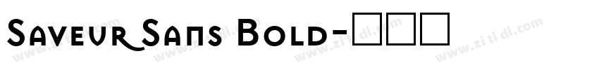 Saveur Sans Bold字体转换